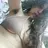 Noor